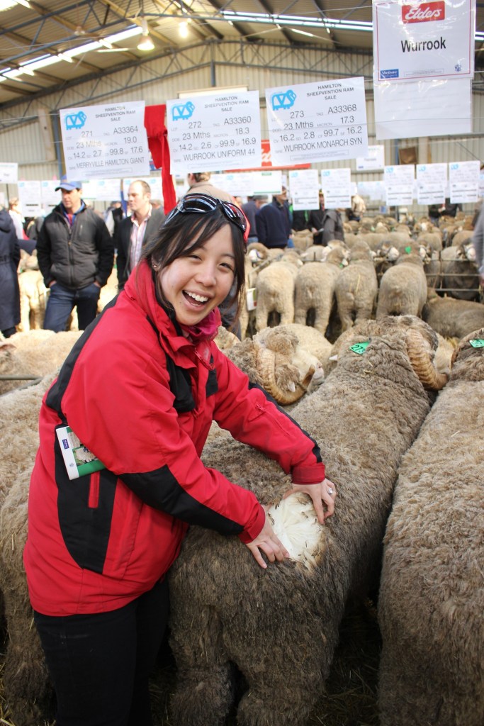 Samantha Wan with merino wool