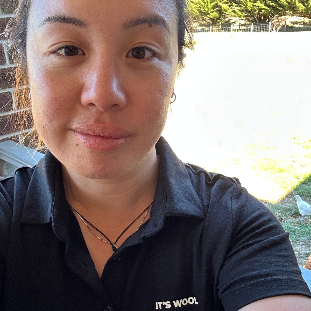 The Why for IT’S&nbsp;WOOL