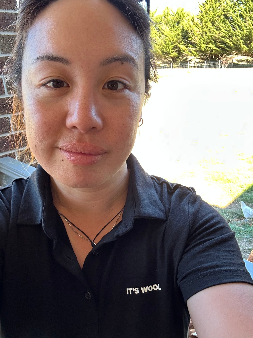 The Why for IT’S&nbsp;WOOL